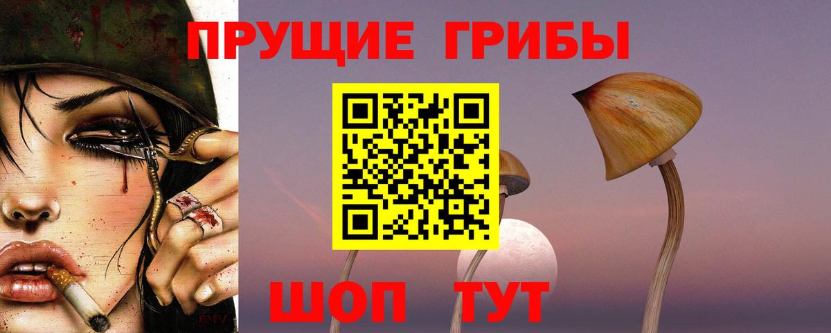 как найти наркотики  Псилоцибиновые грибы мицелий  Вход с VPN  Галлюциногенные грибы GOLDEN TEACHER  Красный Сулин 